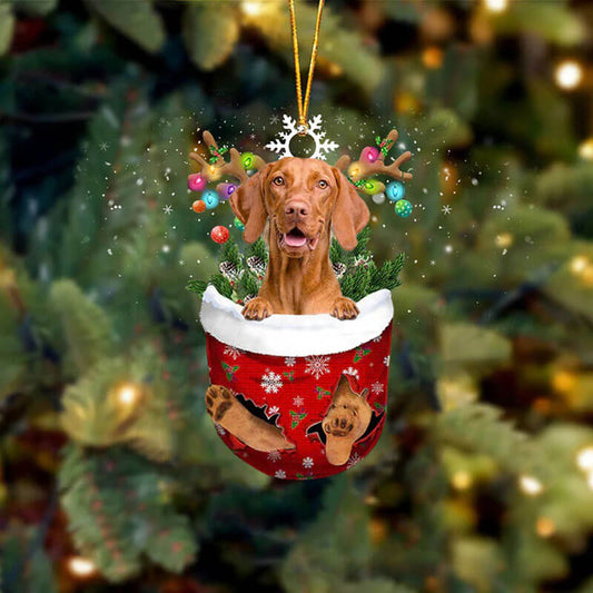 Vizsla i Snöficka Ornament