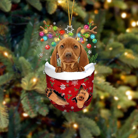 Vizsla i Snöficka Ornament