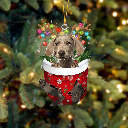 Weimaraner i Snöficka Ornament