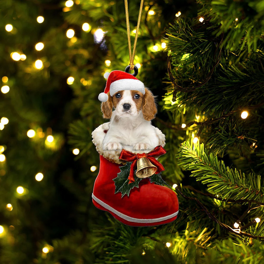 Cavalier King Charles Spaniel i Julstövel Ornament