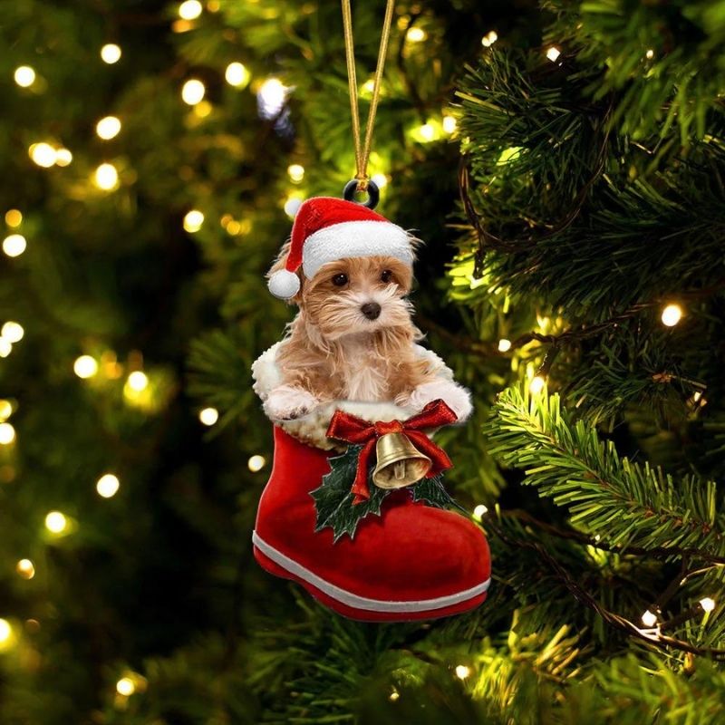 Maltipoo i Julstövel Ornament