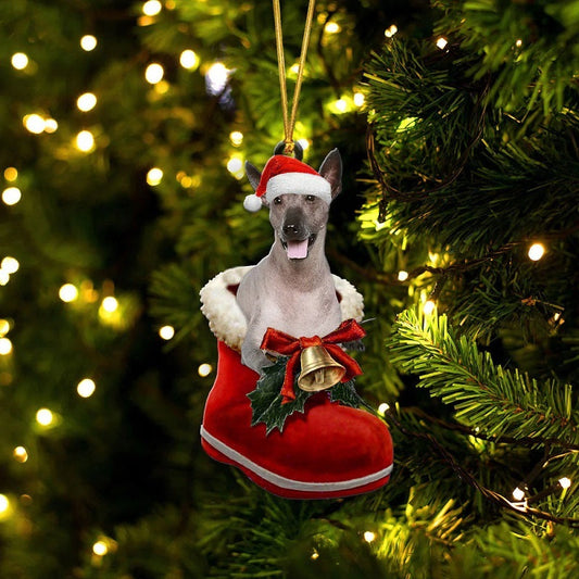 Xoloitzcuintli i Julstövel Ornament